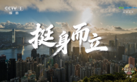 廣聯(lián)達《挺身而立》登陸央視，以產(chǎn)業(yè)AI回應(yīng)建筑業(yè)未來之問